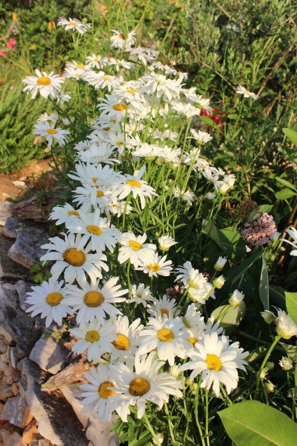 Villa Mary'S Garden Tulisevica Esterno foto