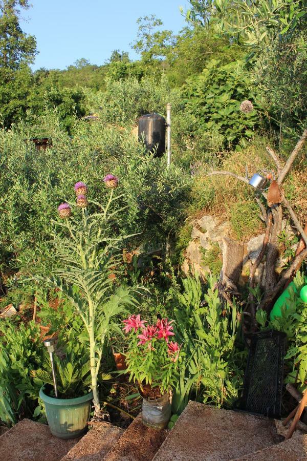 Villa Mary'S Garden Tulisevica Esterno foto