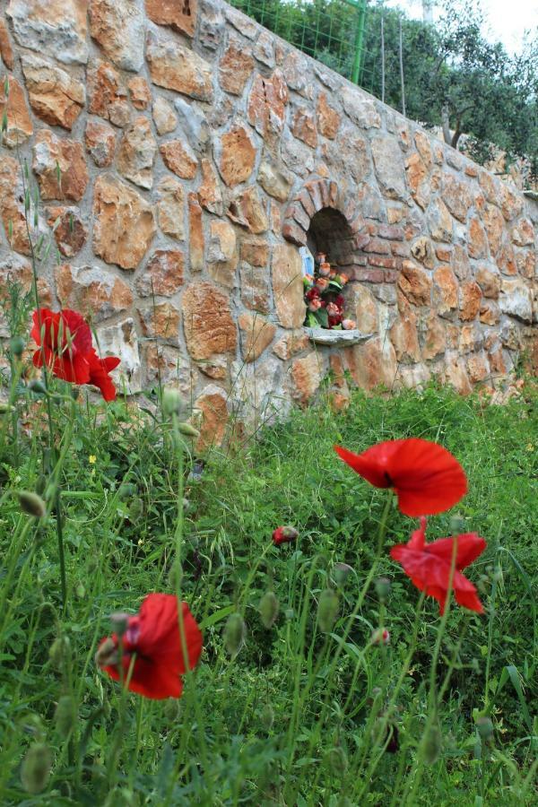 Villa Mary'S Garden Tulisevica Esterno foto