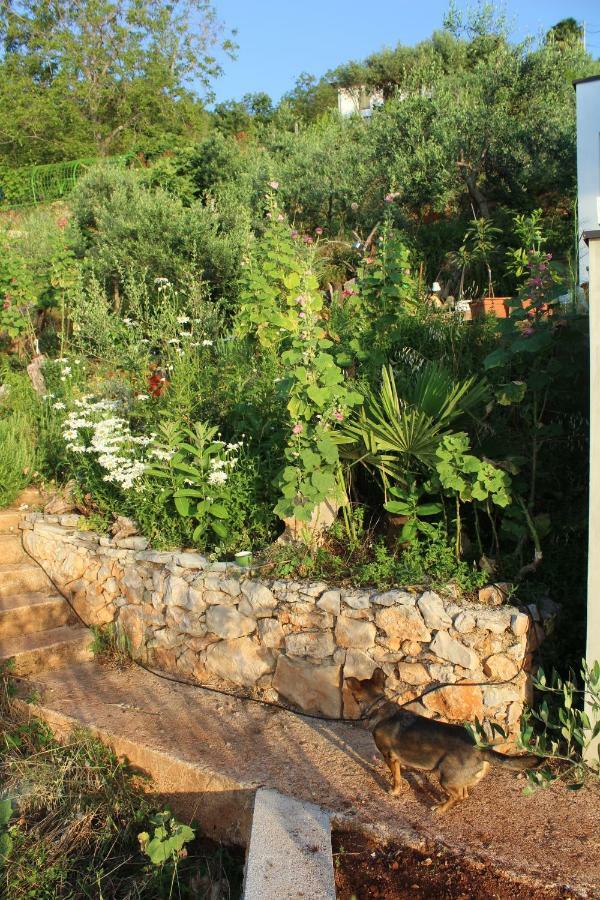 Villa Mary'S Garden Tulisevica Esterno foto